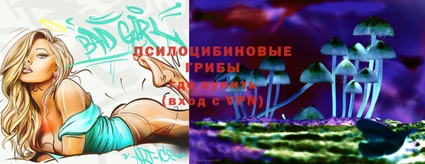 ешки Богородск