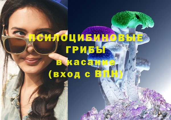 ешки Богородск