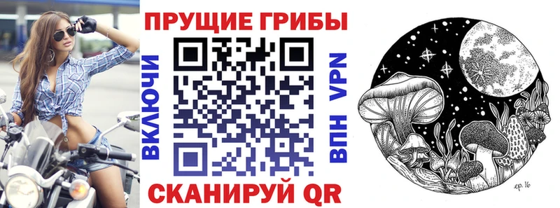 закладки  Реж  Галлюциногенные грибы Psilocybe 